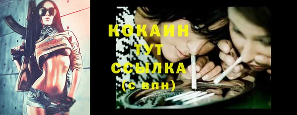 дурь Надым