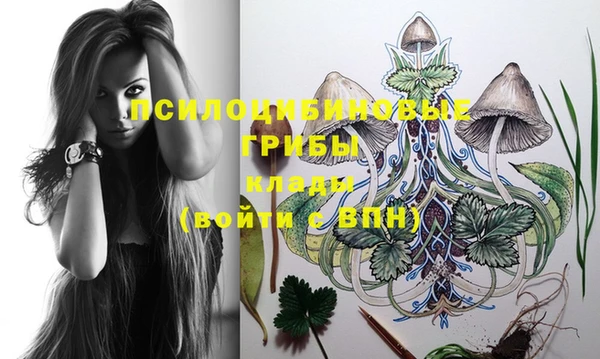 марки lsd Бежецк