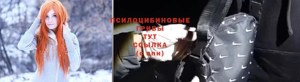 дурь Надым