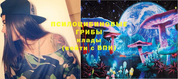 дурь Надым
