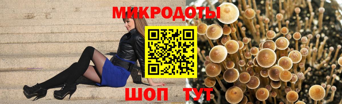 Галлюциногенные грибы мицелий  Вход с VPN  магазин  наркотиков  Минусинск 