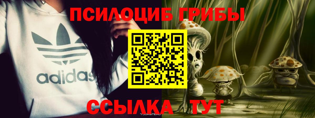 Галлюциногенные грибы MAGIC MUSHROOMS Минусинск