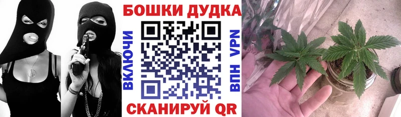 Шишки марихуана SATIVA & INDICA  это телеграм  Минусинск 